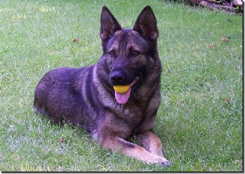 Chucky im Garten (2007)